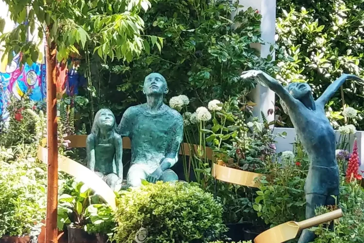 Planting schemes garden North devon